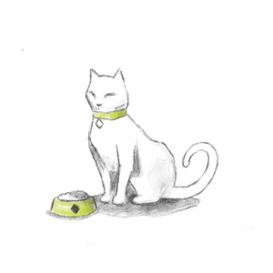 cat1