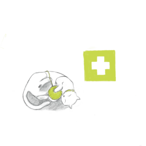 cat_3