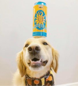 Goog dog