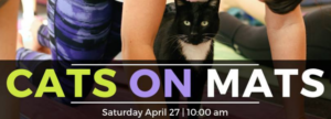 Cats on Mats