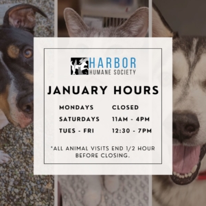 Harbor Humane Society - Michigan's Animal Shelter