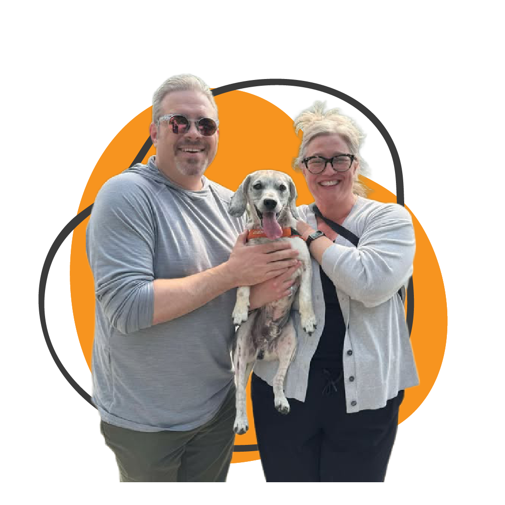 Donate - Harbor Humane